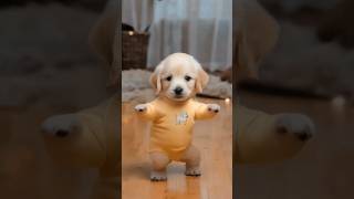 Dancing Puppy Deli 🐶😂 Cute Dog Shows Off Dance Moves