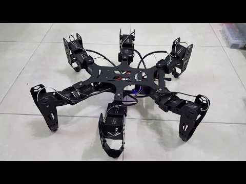 Hexapod Robot (Robo-Soul CR-6 MK-II) - Reorientation Test