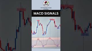 #macdsignals #trading #howtotradechartpatterns #stockmarket #youtubeshorts #investingmoney #reels