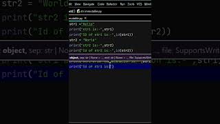 String Concatenation and Memory IDs in Python