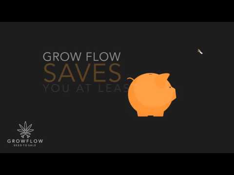 GROWFLOW Audio Video 1602