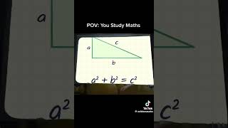 POV: you study maths