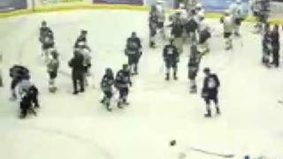 USHL Bench Clearing Brawl