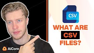 What are CSV files?