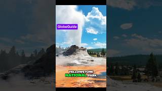 Fact about Yellowstone National Park #travelfacts #facts #newyorknationalpark