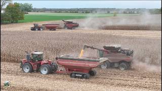 Dick Lavy Farms Corn Harvest 2025 | Case IH AF9 Combine