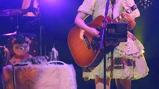 コレサワ「ぷんぷん」【LIVE】コレサワ LIVE TOUR 2024 日々会々々