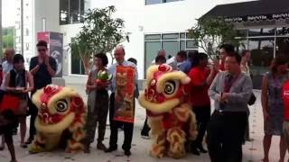 Dragon dance at UoRM February 2016