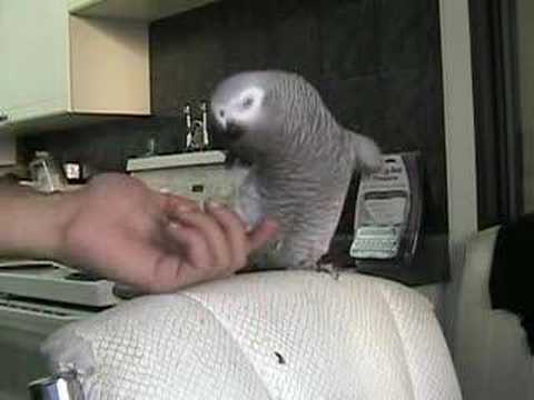 Rocky tries to bite!