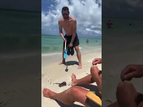 This guy got fooled at the beach 😂 #tomdaya #celebrityhumor #couplegoals #funnymoments  #tomholland