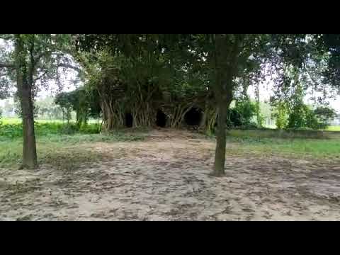 sindurail eidgah সিন্দুরাই‍ল ঈদগাঁ