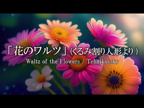 花のワルツ (くるみ割り人形より)  / チャイコフスキー