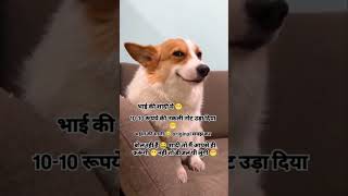 Shaali ne kiya propose 😘#funnyshorts