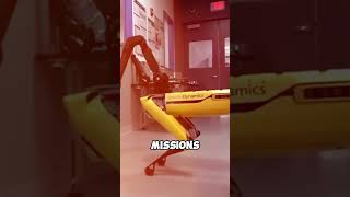 Amazing Robotic Animals You Must See #RoboticAnimals #RobotDesign #TechInnovation