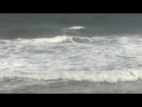 Surf Turf Kovalam