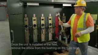 Padmount Switchgear