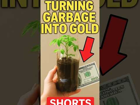 garden | Turning Plastic Bottles into Food & Profit 🌱💡” #garden