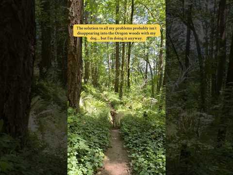 Because sometimes the trees listen better than people do. #goldenretriever #dogshorts #oregon