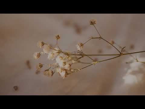 Brittany A. Morrow - Embodied Soul Work Live Stream