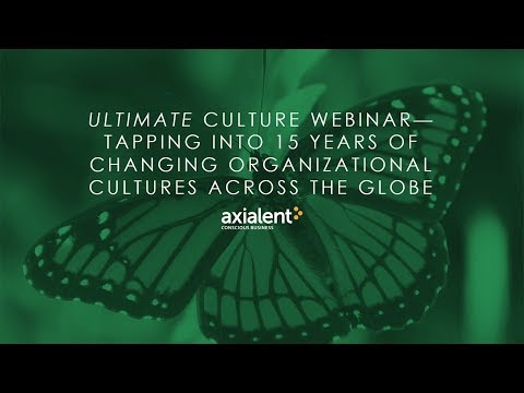 Tapping Into 15 Years of Changing Organizational Cultures Across the Globe