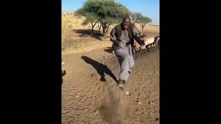 #ViralVideo #ShortVideoTrends #TrendingNow #YouTubeVibes #VideoMagic #InstaViral #ClipOfTheDay