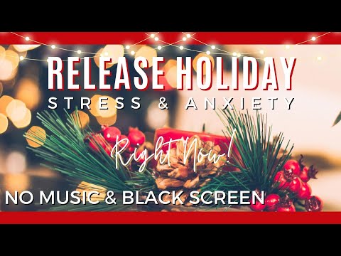 GUIDED GRATITUDE Thankfulness Meditation | Holiday (Black Screen, No Music)