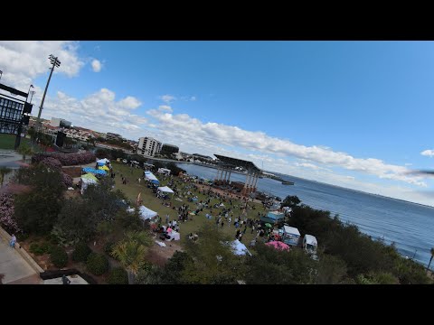 Pensacola Vegfest!!! what a great event, and great food!