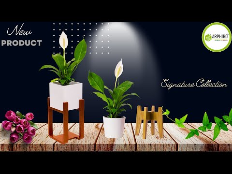 Arphibo EcoWood Eco-Friendly Planters for Indoor Gardening      #planter #indoorgarden #ecofriendly