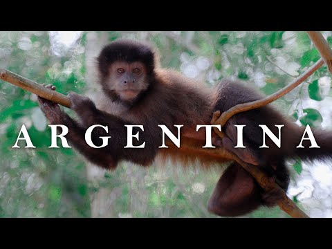 ARGENTINA | Cinematic nature short film