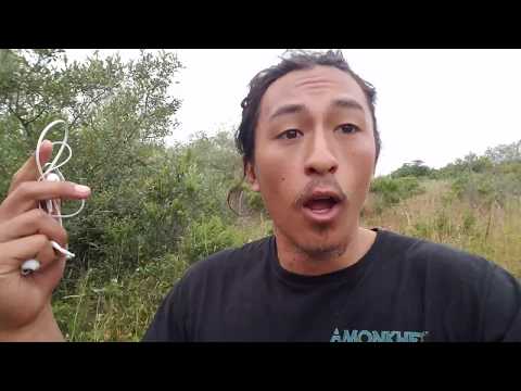 PERSONAL BRAND CRISIS MANAGEMENT! w Travis Woo