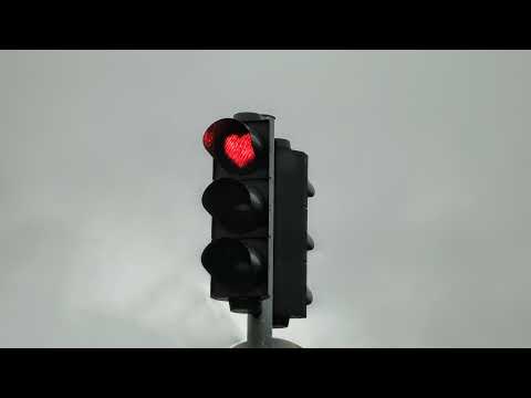 CCNP CLASS Live Stream