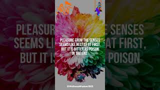 Minute Mysticism: Bhagavad Gita Revelations #shorts #motivation #gitawisdom #bhagavadgita