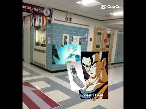 Goku stays home until...