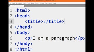 Basic Tags in HTML Coding