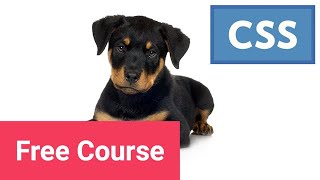 Learn CSS Layout