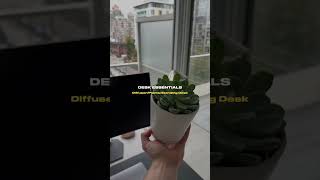 Minimalist Desk Setup Tour #shorts