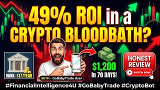 Customer Testimonial 49% ROI in a Crypto Bloodbath? An Honest GoBabyTrade Review