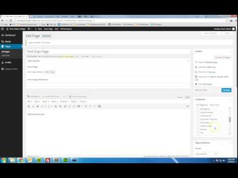 Categories in Page Builder