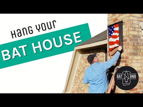 How to hang your bat house! Quick 3-step guide