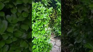 Europe Summer vs Gaming #gaming #gametok #gamer #gamerlife #games #gameplay