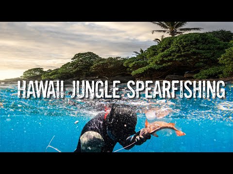 Jungle Hike To Spearfish Hidden Hawaiian Beach