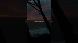 Something bout you 💕💐 #musicvibes #shortvideo #englishsongs #lyrics #4u #fypyoutube