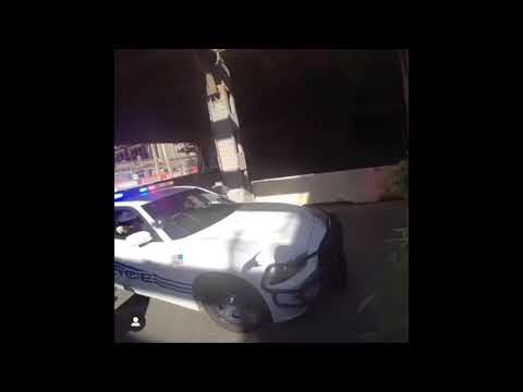 Man walk past police with plant