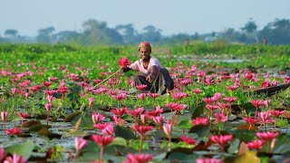 7 Most Beautiful Places in Bangladesh You Must Visit \\ Travel Video
