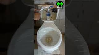 How to Unclog a Toilet Easily