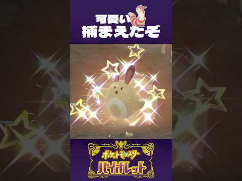 オオタチ好きな、オオタチオタク【ポケモンSV】