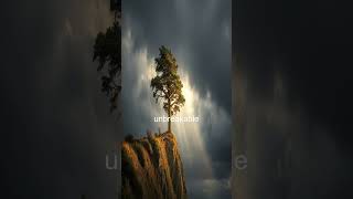 The Power of Shared Experiences: How Community Builds Lasting Connections | Motivational Short