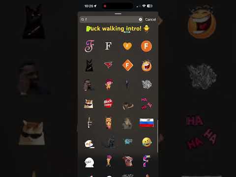 Walking duck intro! Only on instagram tho 👍🐥🎉 #cute