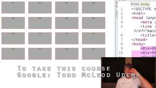 flexbox guide