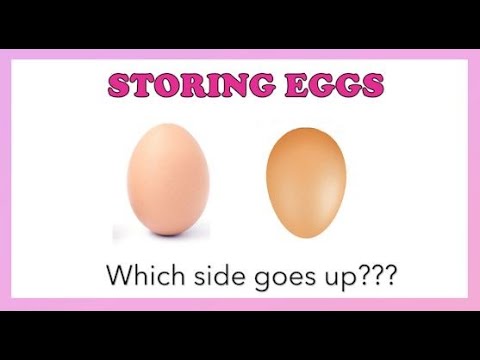 How to Store Eggs